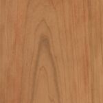 cherry wood species sample