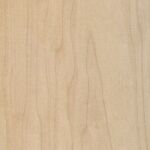 maple wood species sample