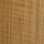 quartersawn white oak qswo wood species sample